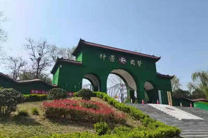 郑州仲景国医中等专业学校饭堂